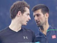 IM电竞官网入口-戴维斯杯绝杀蒙特卡洛大师赛，德约科维奇扛起全队的简单介绍