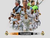 IM电竞官网入口-总决赛之夜，字母哥关键战不手软，雄鹿之魂的加冕时刻