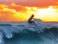 IM电竞官方入口-森林狼铁壁锁死篮网，米切尔成无解方程式