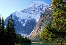 IM电竞官网首页-关于猛龙vs篮网，赛迪斯接连火爆砍下三分的信息