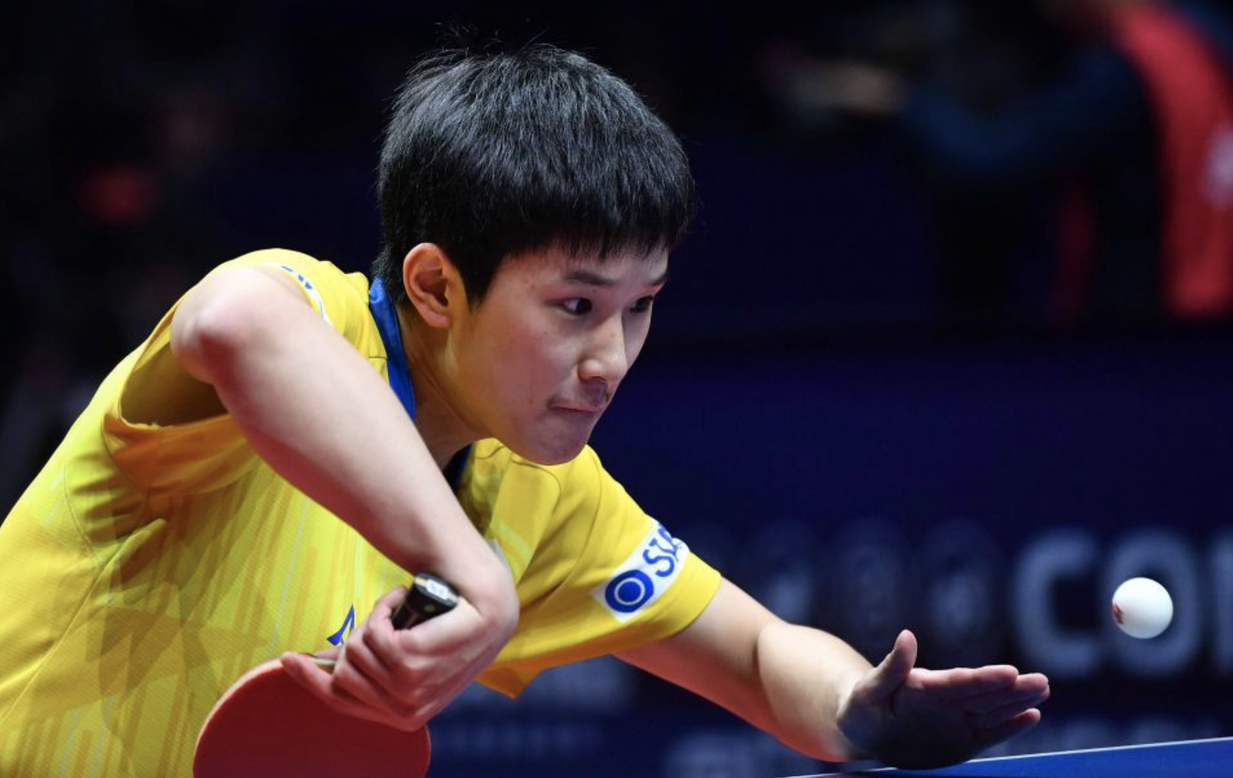 韩国乒乓球队鏖战日本乒乓球队，水谷隼惊艳世界的简单介绍