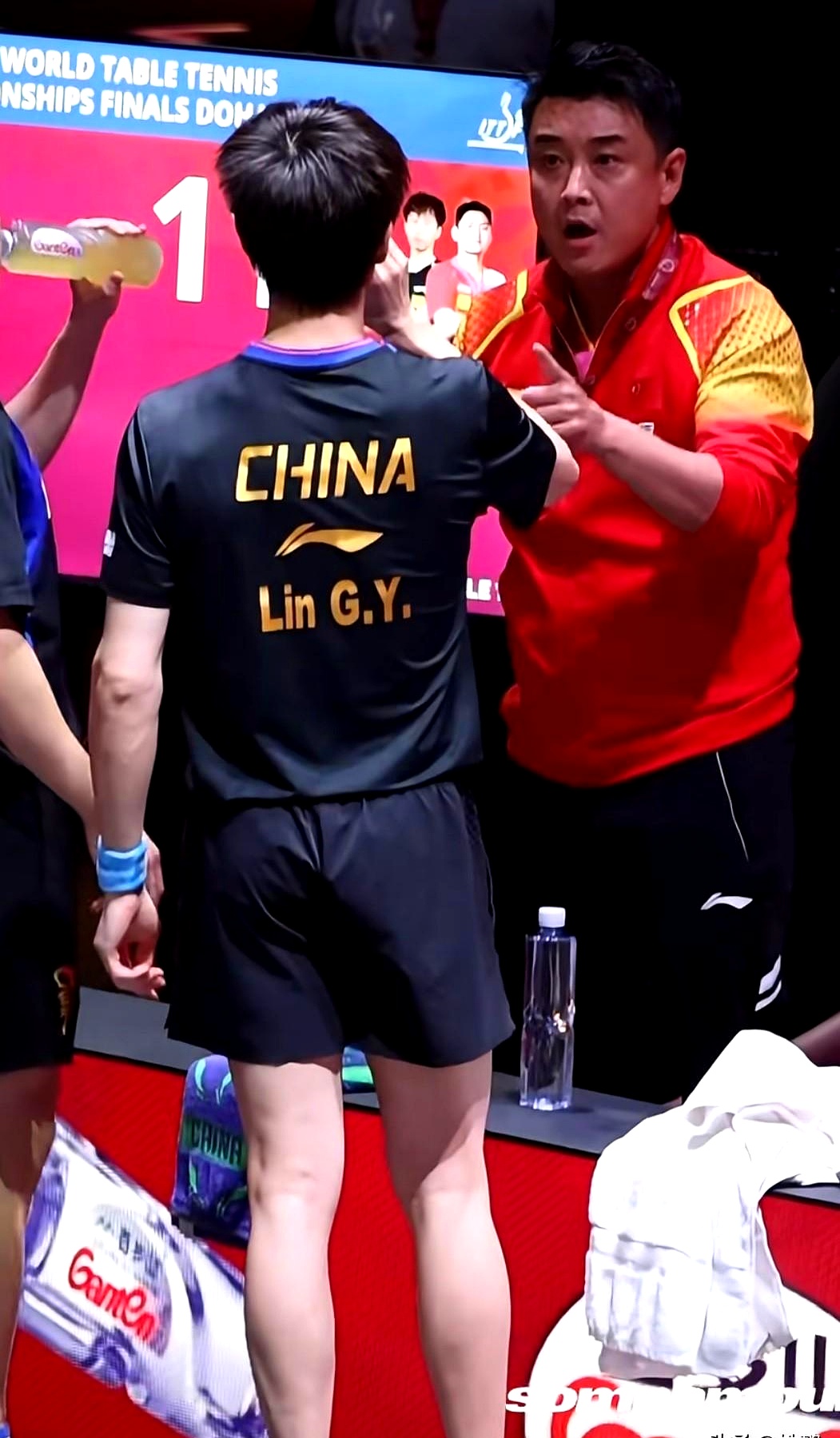 奥地利队完胜波兰队，王皓带队取胜